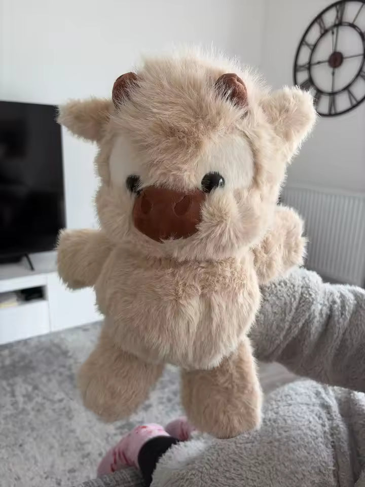 <em>Guillermo P.</em>